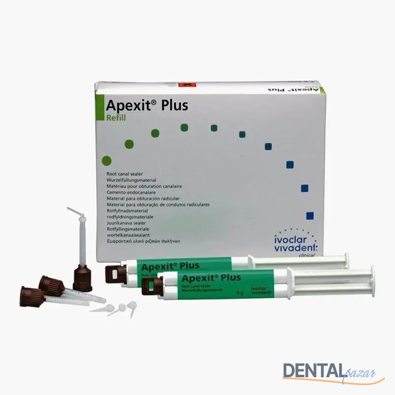 Apexit Plus Kanal Dolgu Patı 2*6 ml