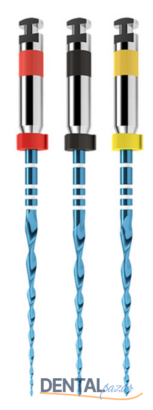 Reciproc Blue Rotary Kanal Egesi 4'lük Blister