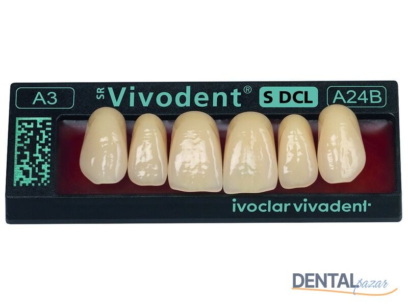 SR Vivodent S DCL Anterior Protez Dişler