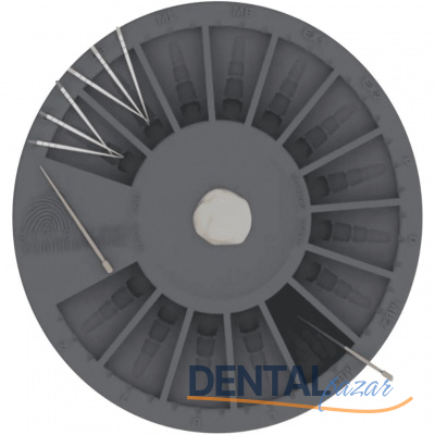 Plano Endo Organizer