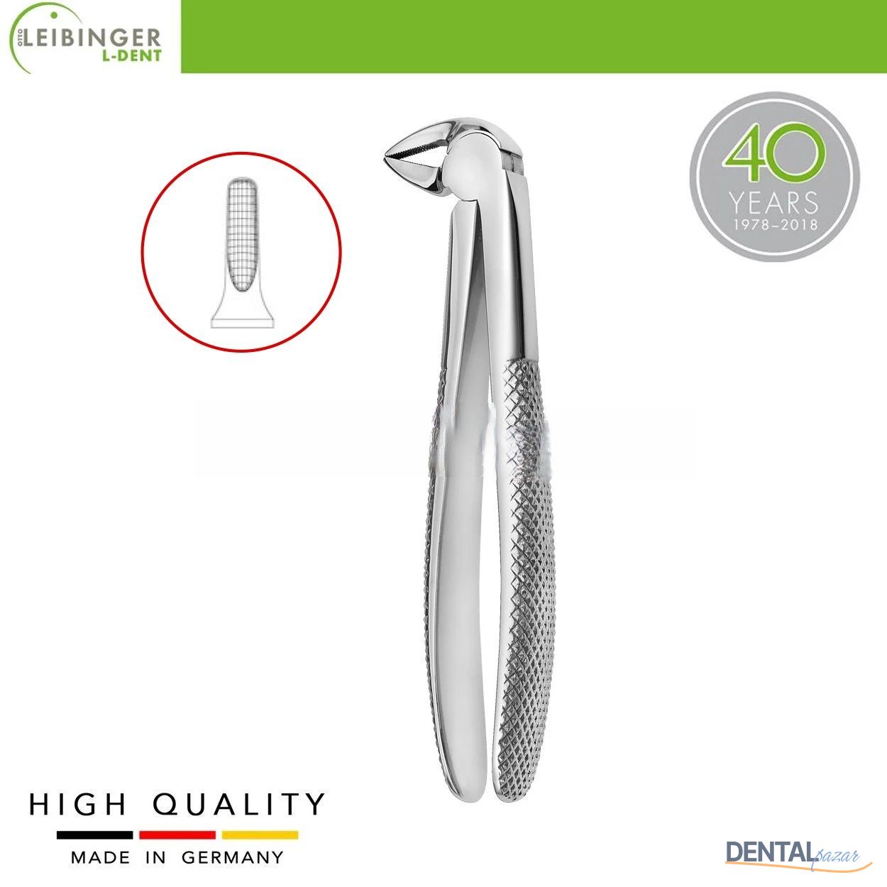 Yetişkin Davye 33 - Alt Kökler