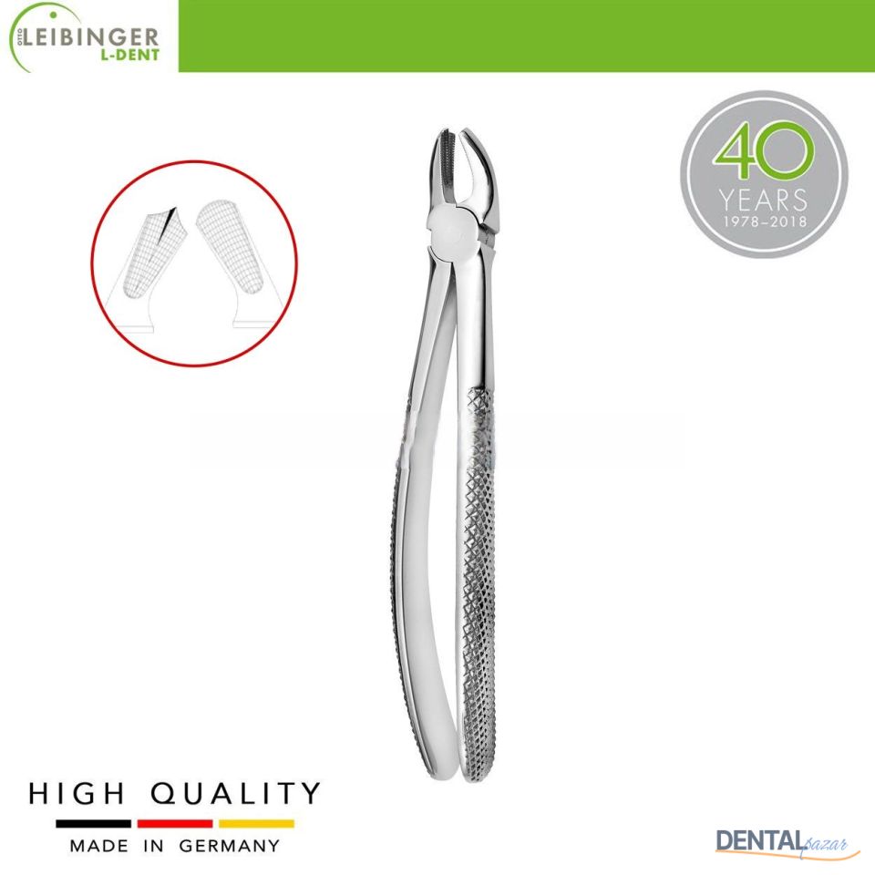 Yetişkin Davye 17 - Sağ Üst Azı Dişleri