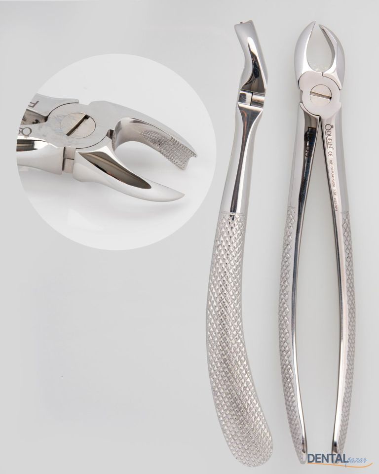 Yetişkin Davye #89 Üst Sağ Molar Dişler