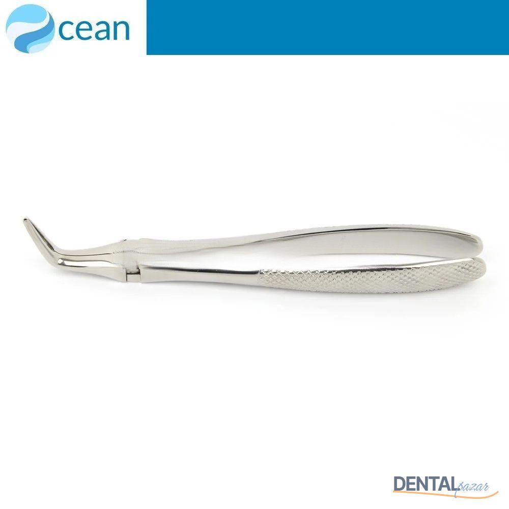 Yetişkin Davye #46L Alt Kök Dişler