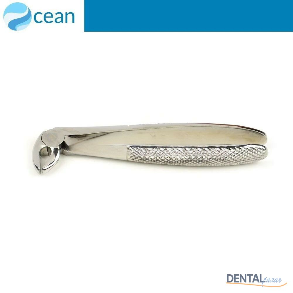 Yetişkin Davye #13 Alt Kesici ve Premolar Dişler