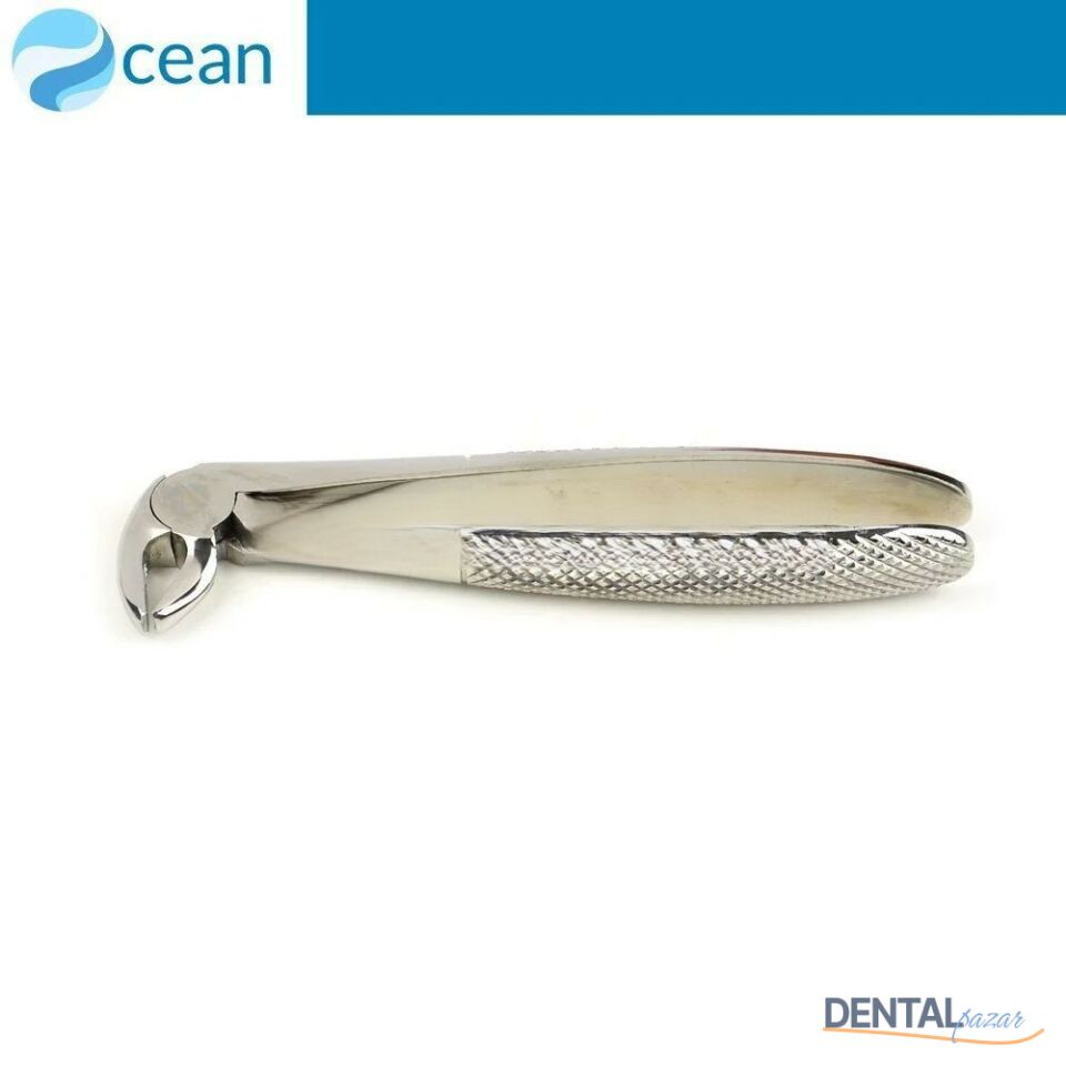 Yetişkin Davye #13 Alt Kesici ve Premolar Dişler