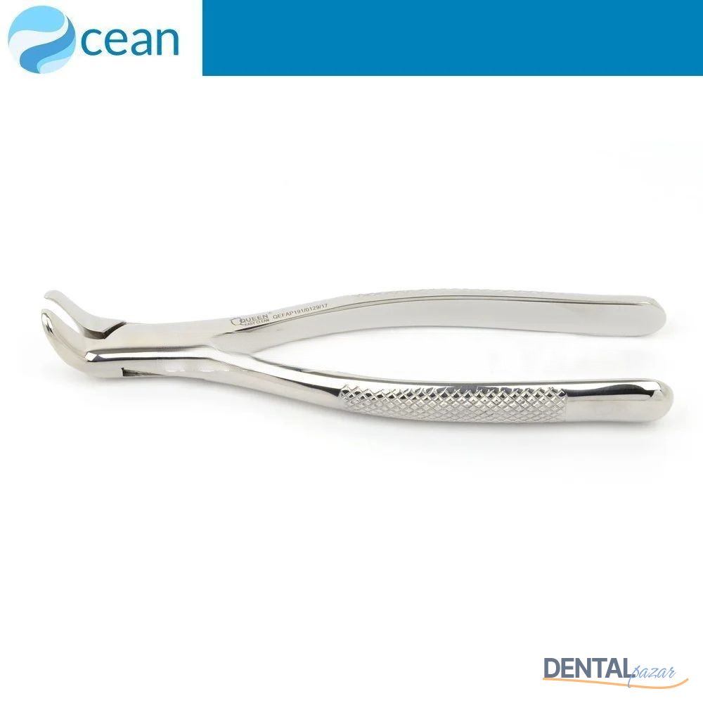 Yetişkin Davye #5 Alt 20 Yaş Dişleri