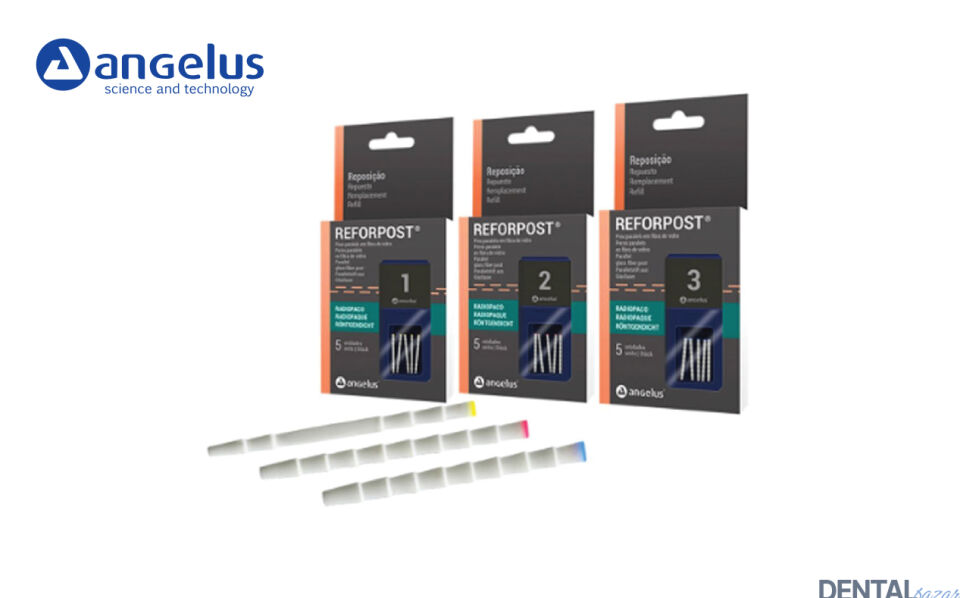 Reforpost Paralel Cam Fiber Post Kit 30 post+ 3 dril
