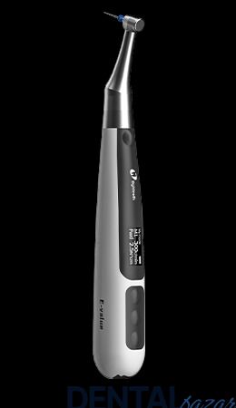 Eighteeth E-VALUE-E Endomotor