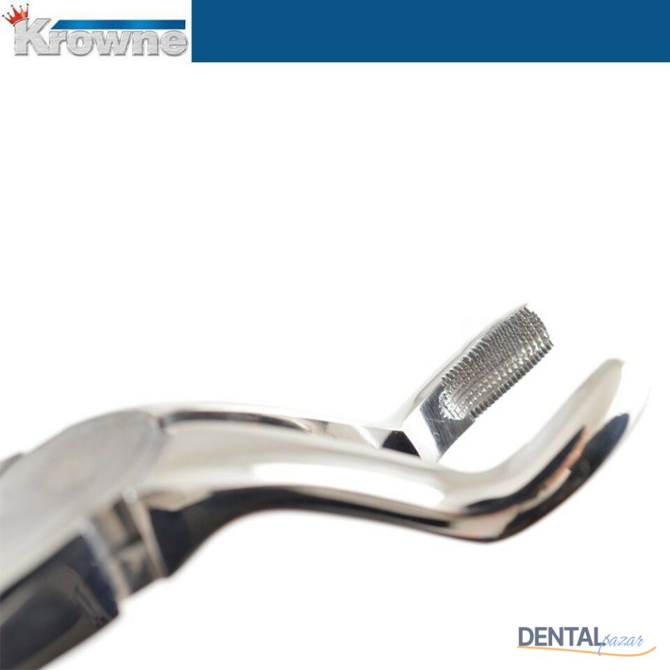 Davye Upper Third Molar - 67