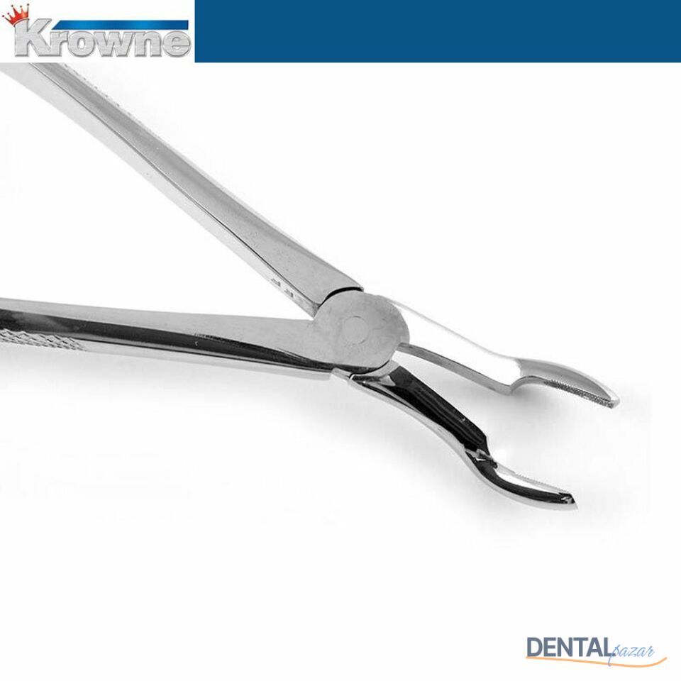 Davye Upper Third Molar - 67