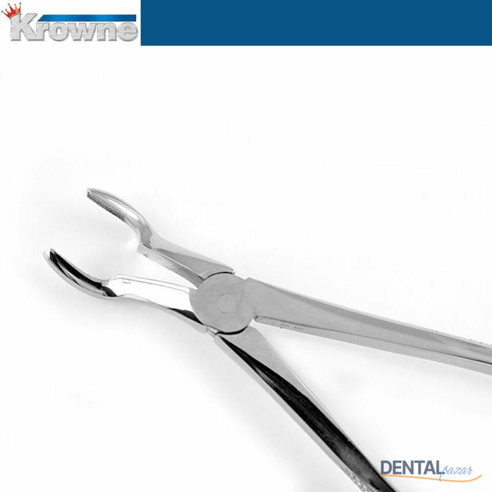 Davye Upper Third Molar - 67