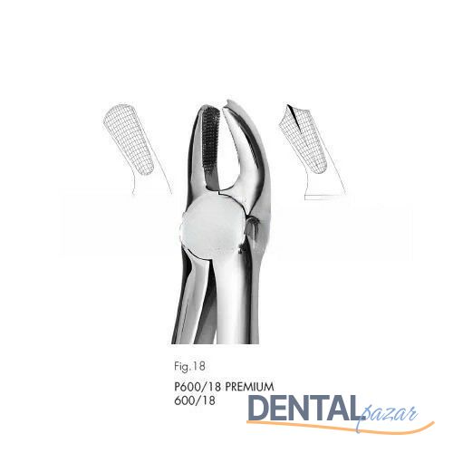 Davye Upper Molars - 18A