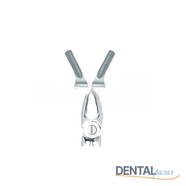 Davye Üst Küçük Azı