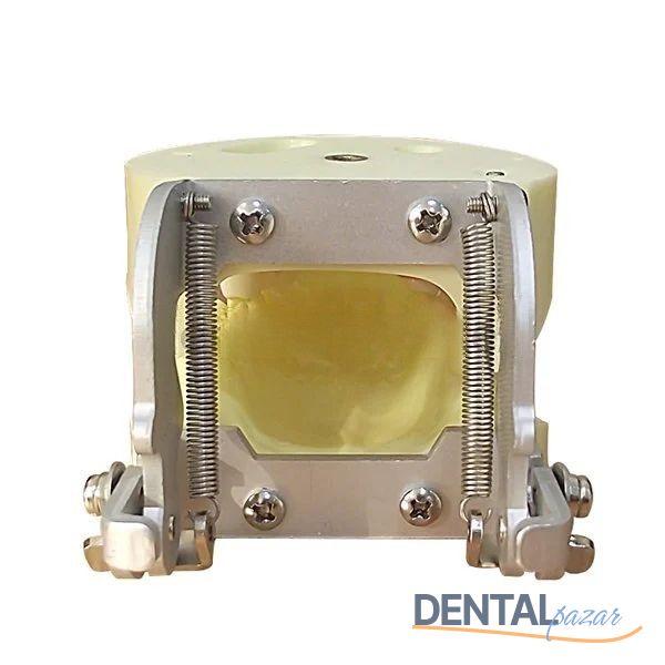 İmplant Eğitim Modeli Alt-Üst Takım - UM-Z4