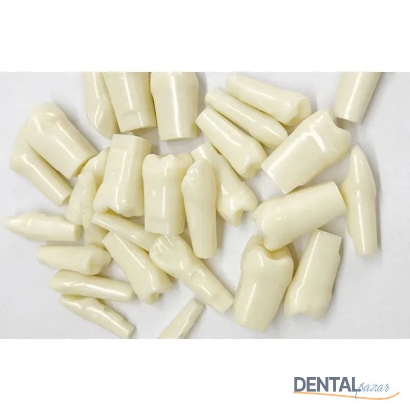 Düz Köklü Kalıcı Dişler - UM-C4