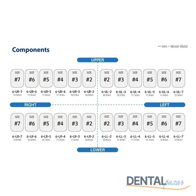 Perma Crown Kalıcı Çelik Kuron İntro Set 48 Kron - Molar