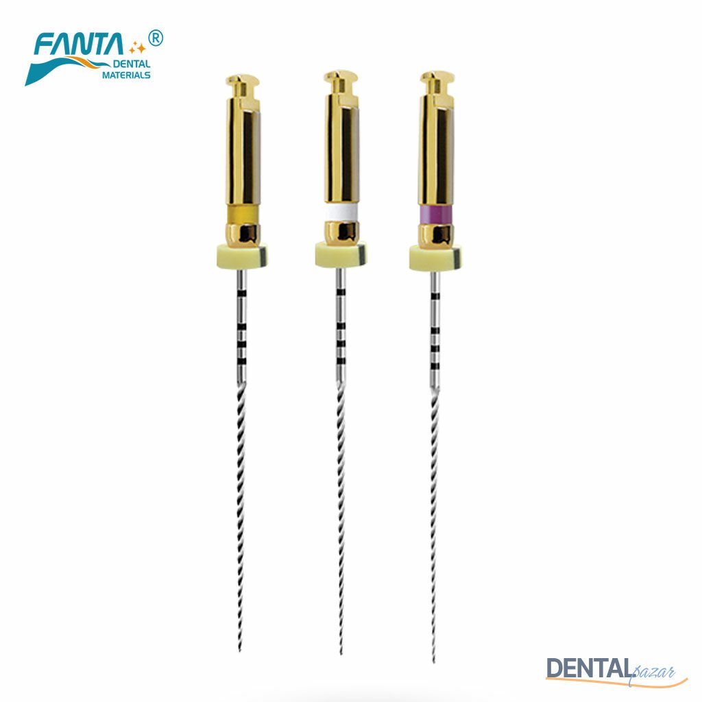 Af C-Pathfile Giriş Egesi