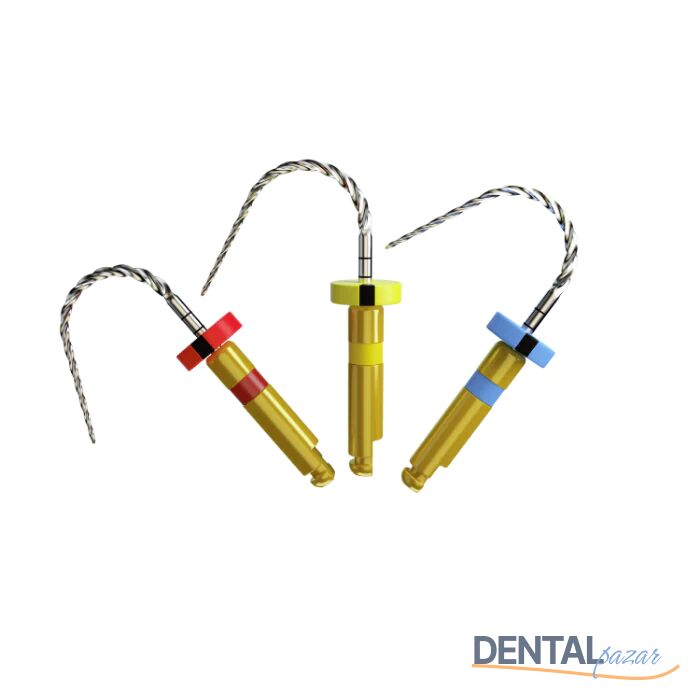 AF Rotary File Kanal Egesi