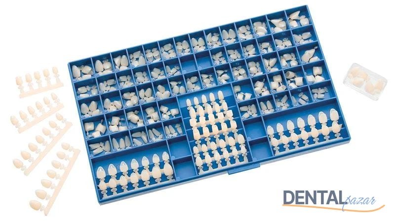 Temprorary Polycarbonate Crown 180 Lik
