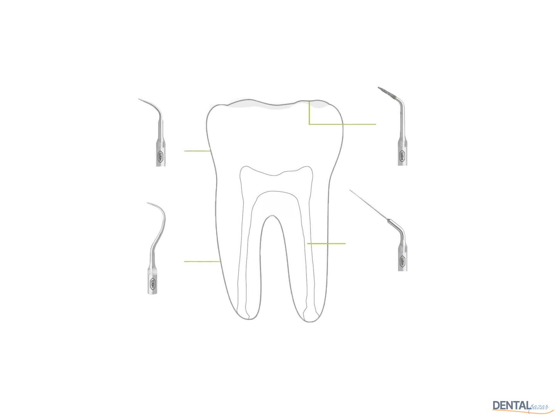 Kavitron-Scaler Uç Refilleri