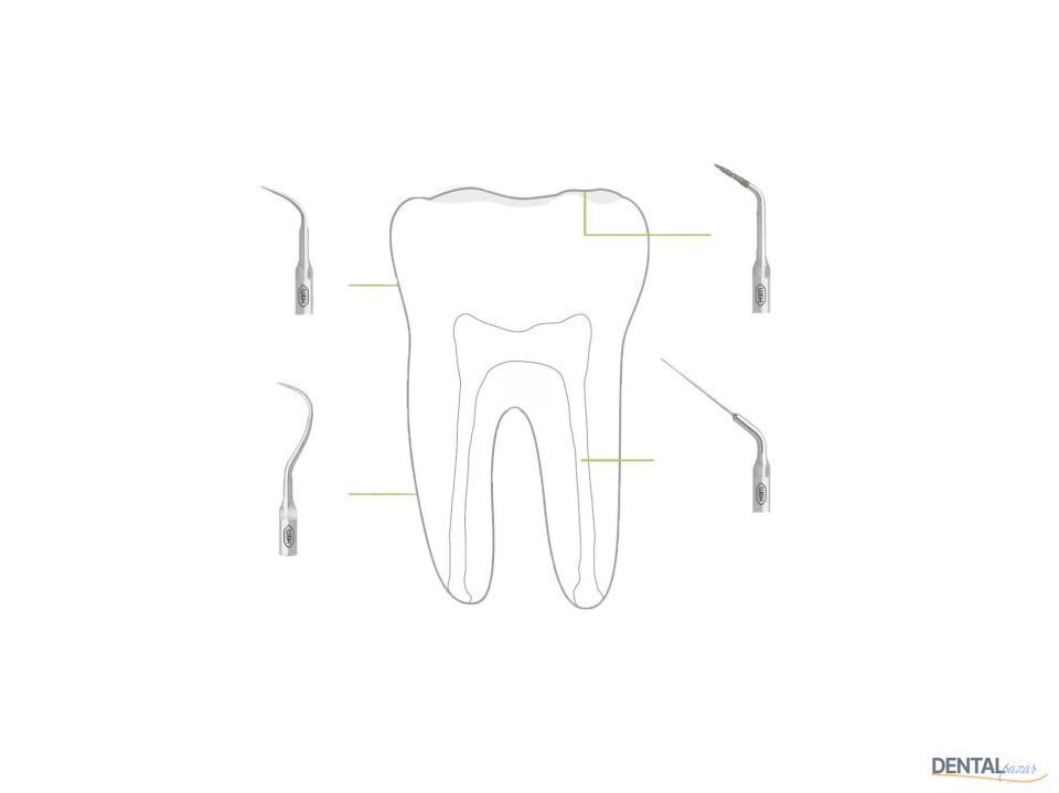 Kavitron-Scaler Uç Refilleri
