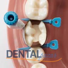 Palodent 360 Çevresel Matrix İntro Kit