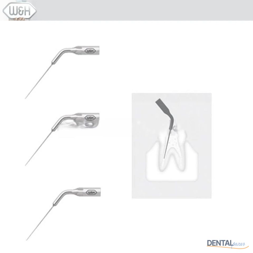 Kavitron-Scaler Uçları- Endo Uç Set