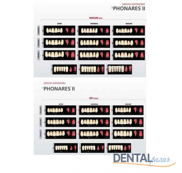 Sr Phonares II Üst Anterior 6'lık Diş