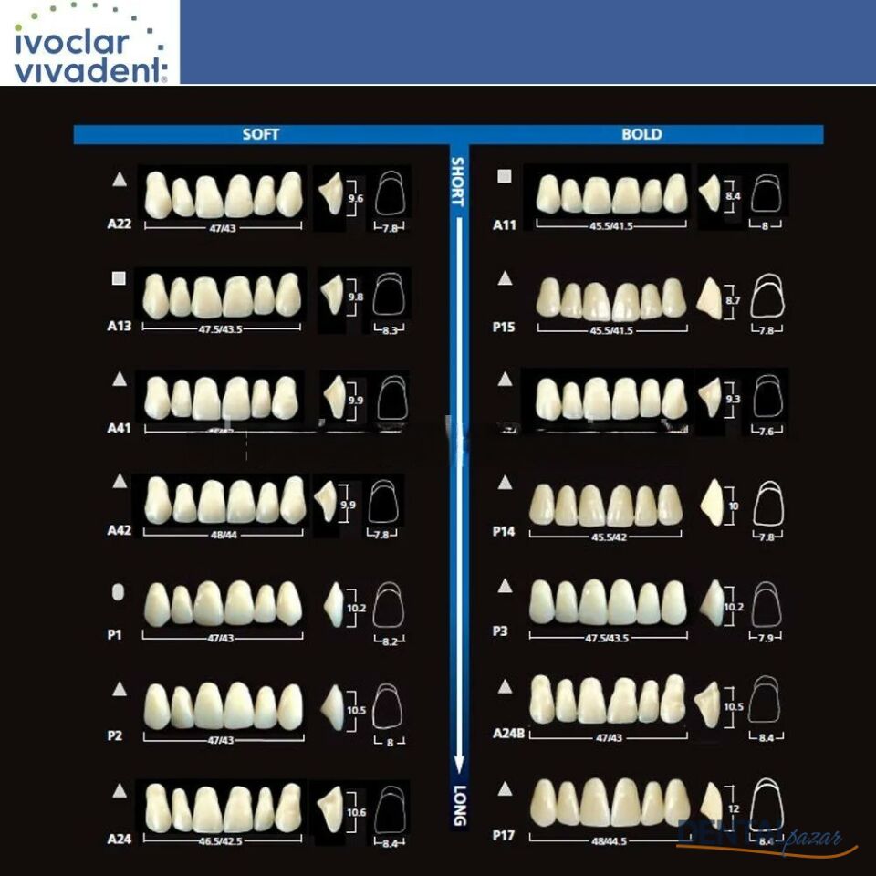 Sr Vivodent DCL 6 Lik Üst Anterior Diş