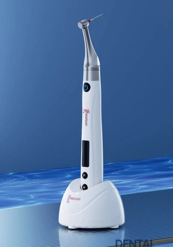 Woodpecker Endo Free Endo Motor